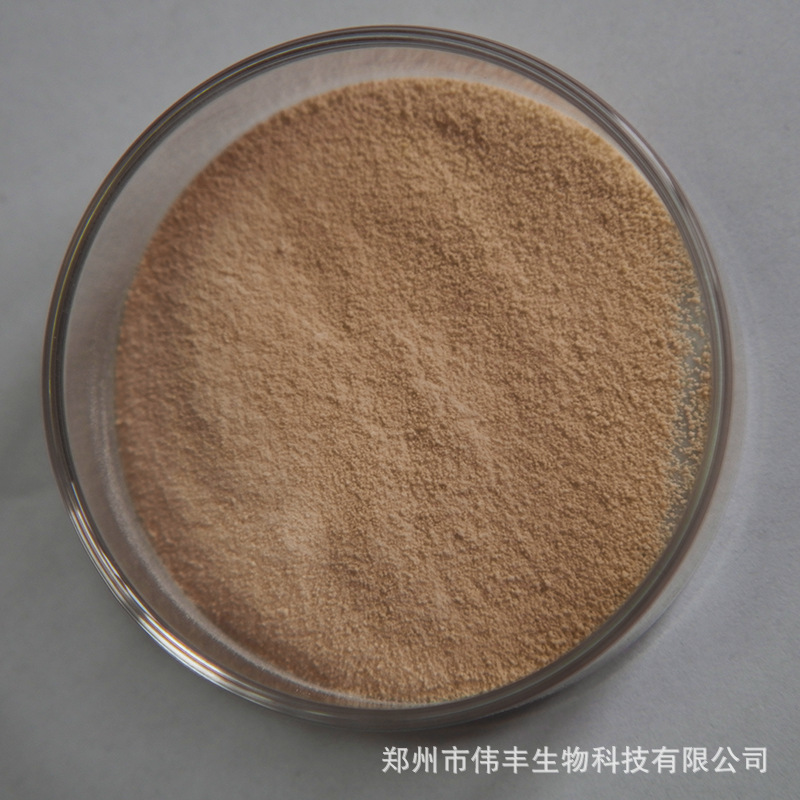 核桃肽 核桃蛋白肽 小分子肽 核桃低聚肽粉 核桃仁提取物