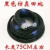 Black Simagonic Snake