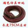 Brown Simple Snake