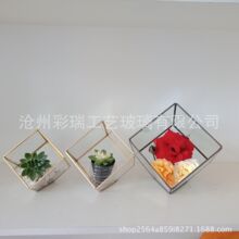 �S�����l���������׺� �Ƶ���Ʒ �������������� ����ֲ�ﻨ��