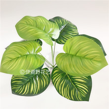 ���F؛������9�^�l�y�A�} �^�z�ָз���ֲ�������O���~