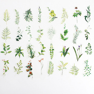 �ļ����֎��ز��N���� ��ߴ�ֲ��D�b�ͼ��N��34Ƭ���~�N��