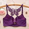 Supporting lace underwear, wholesale, beautiful back