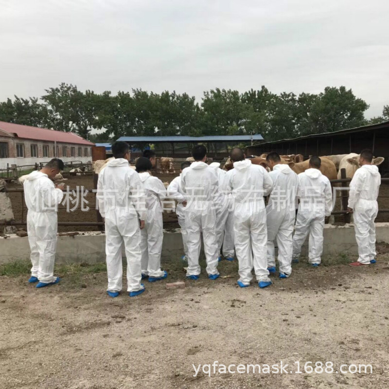 透气膜防护服无纺布工作服防尘参观服一次性连体隔离服透气轻便