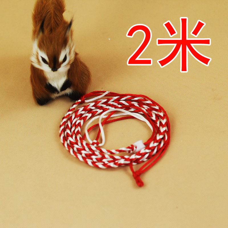 松鼠牵引绳遛弯绳仓鼠荷兰猪兔子龙猫牵引绳2米彩色 精编 包邮