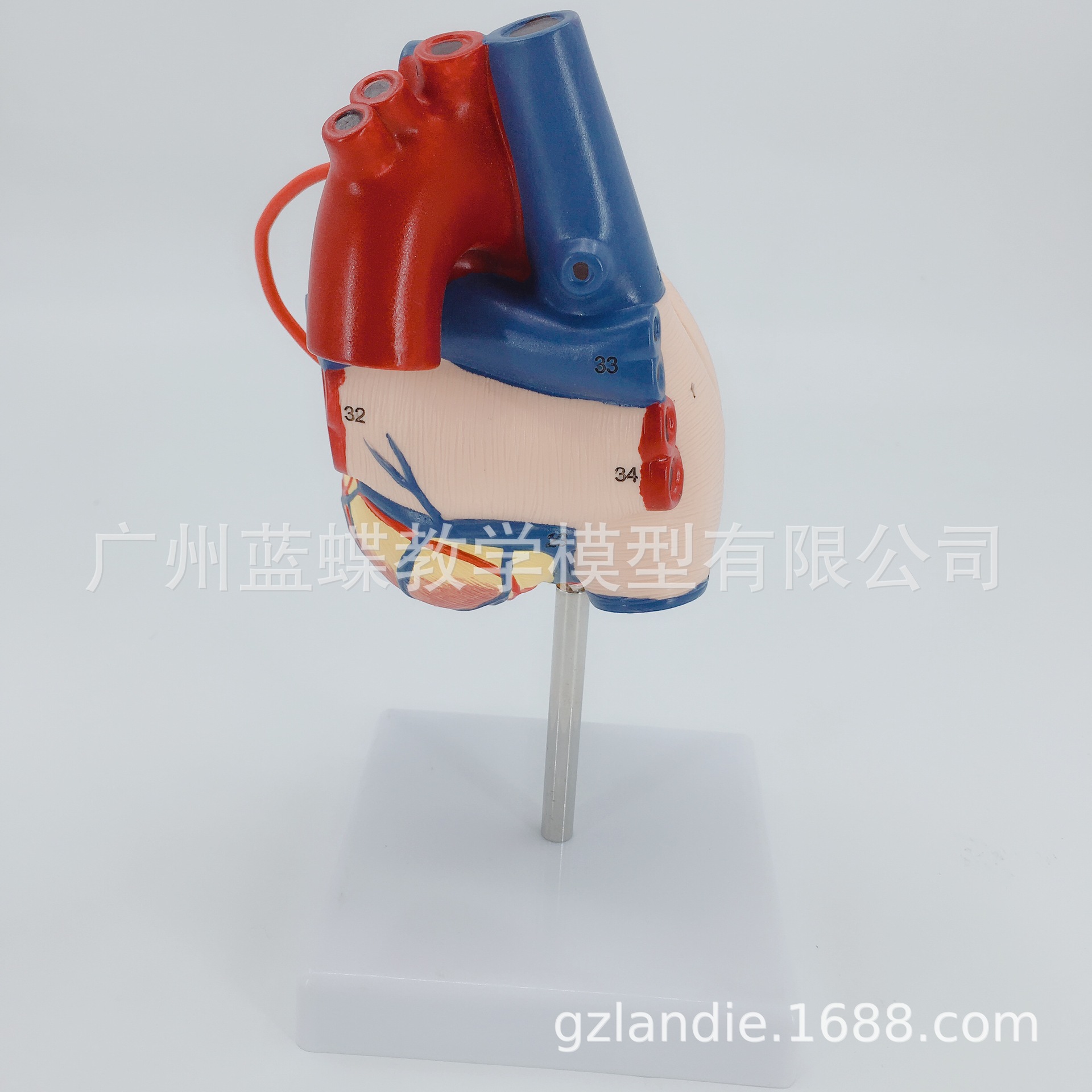 ����ģ�� ��Ȼ������������������������ģ�� 1��1��������ģ��