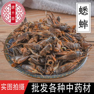 ������ș���� �o���|����ș�Ĵ�؛��������ă�Ʒ�N�Rȫ