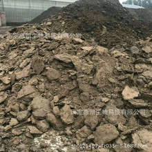 ��ţ�S�ЙC���� Ģ���ðl��ţ�S �����ţ�S����������l