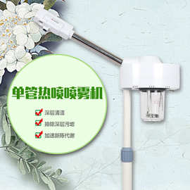 泰东厂家直销热喷蒸脸器补水仪单管香薰离子美容喷雾机
