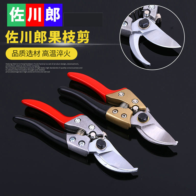 现货供应佐川郎果枝剪 园林工具SK-5钢粗枝剪 家用园艺修枝剪
