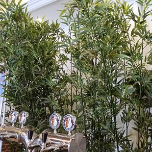 �������������Ĥ�����Ӽ�ˮ��ë�����L�����b��������l