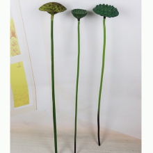 仿真莲蓬 仿真荷花荷叶仿真莲蓬供佛荷花睡莲荷叶PU手感莲子