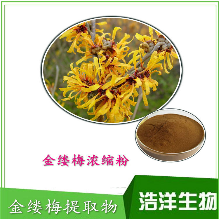 金缕梅提取物 10:1 金缕梅粉 陕西浩洋