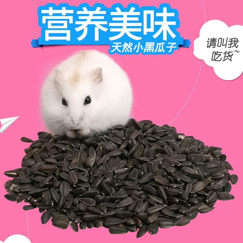 仓鼠主粮零食营养粮食饲料天然生瓜籽/小黑瓜子100g/盒营养强化
