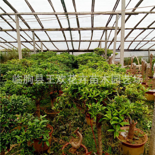 �������l����� �ļ��������𵤹��ļ��𹤳̾G��������F����