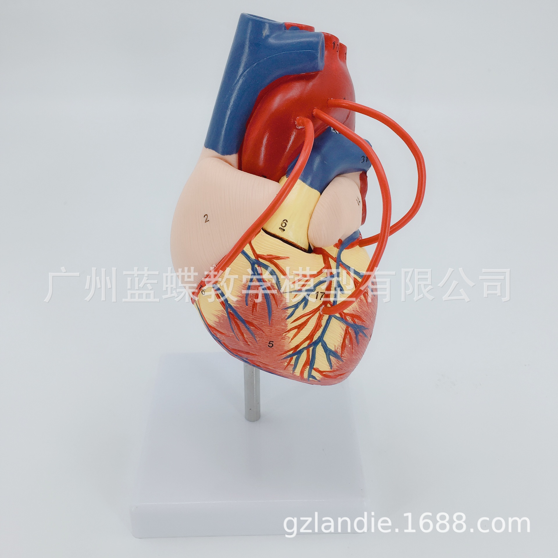 ����ģ�� ��Ȼ������������������������ģ�� 1��1��������ģ��