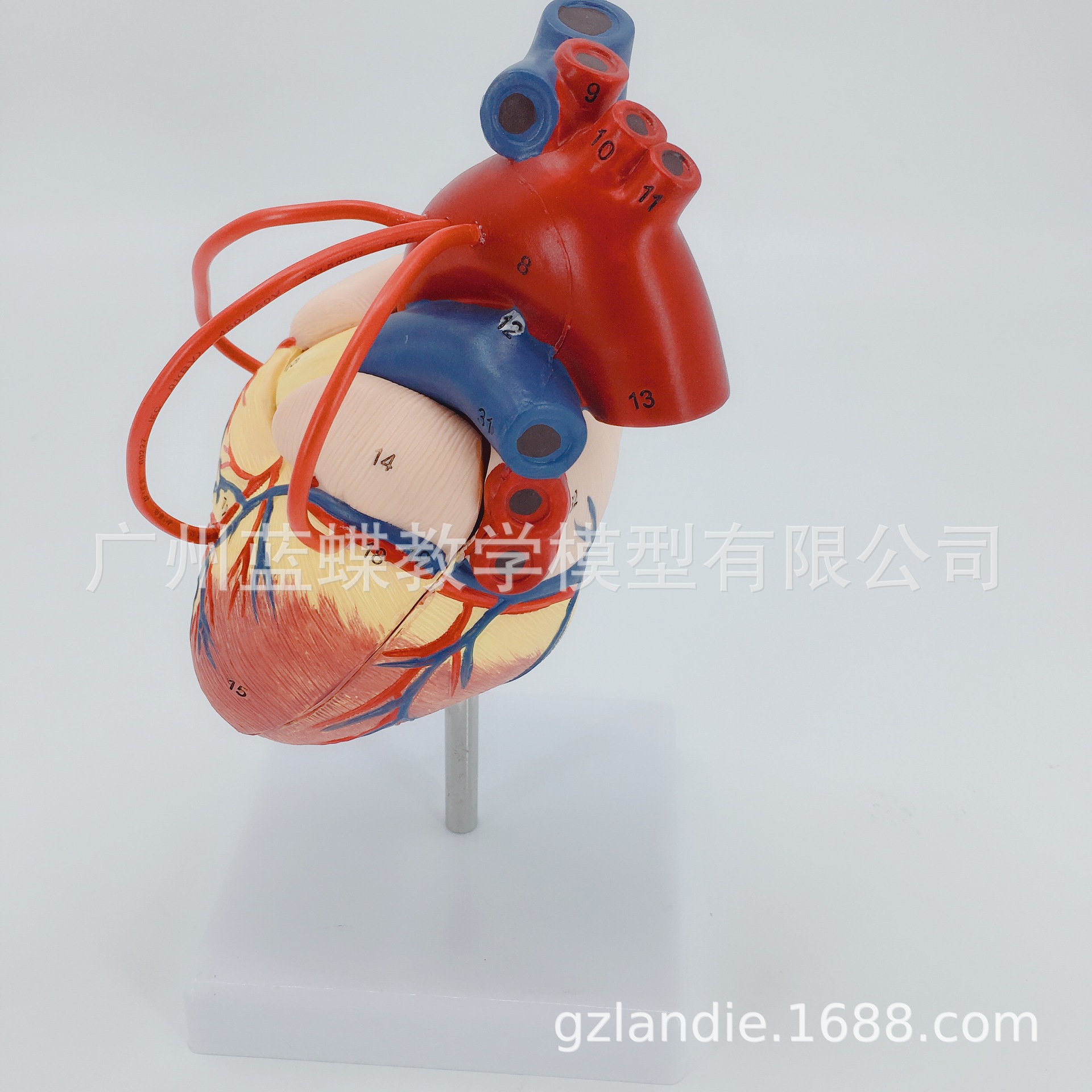 ����ģ�� ��Ȼ������������������������ģ�� 1��1��������ģ��