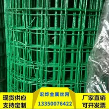 荷兰网 PVC浸塑绿色养殖网价格 包塑荷兰网