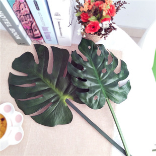 �ߙn���������Gֲ�~�ش��z���zӡ�~�����~�Ӳ廨��Ę��~