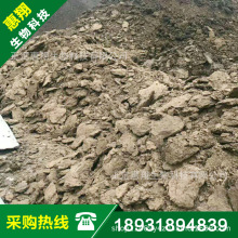 ���ţ�S�ЙC�� Ģ���ø�ţ�S �l�͸���ţ�S�ʏS�����l