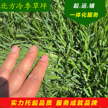 �F�P��ƺ�|�����l�ɾ���ƺ��ؓ؟��؛���T���˹���O��Ƥ��ֲ����