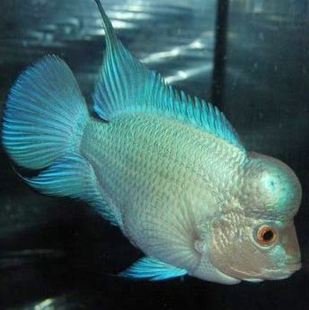 �M�y�_�h�~ �^�p�~ ���w �Ꭷ�����~