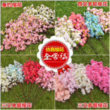 ����ѻ�֦��c���T�b�֦�������ϰ�ɫ��ɫ�滨��֧�Ĳ�ٻ�