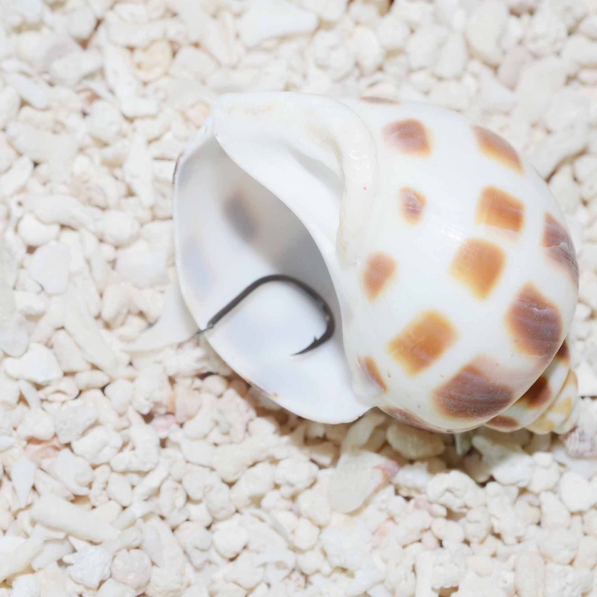 A granel iseini fábrica directa gancho de pesca al por mayor de acero de alto carbono lago artes de pesca con púas plana afilada carpa pesca