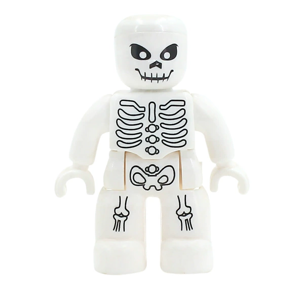 Skeleton【P05】