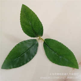 仿真植物仿真芒果叶 三叉过胶布叶子 仿真芒果树叶片配件 绿植