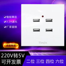 220��USB�������λ�֙C�������� ����Ƶ�220v���������ڲ���
