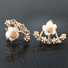 Fashionable hypoallergenic earrings, Korean style, flowered