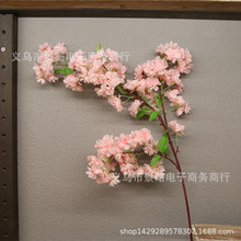 ��Ʒ����ɽ�ѻ���c�����b�Ʒ�һ��Ҿ��b��ęѻ���֦�S�����l