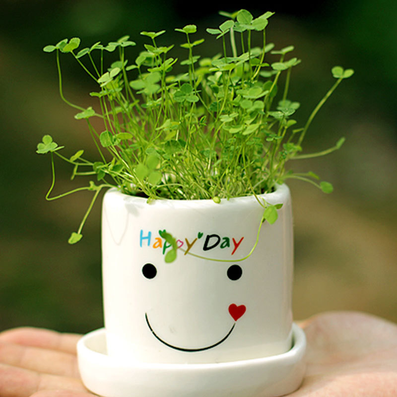 ͨ  ޸è մֲ칫һ辰