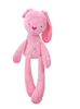 Pink long -legged rabbit