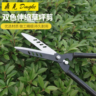 ��֮����ƺ��@ˇ���� ������֦�� ��֦�� ������s ��ľ��֦����