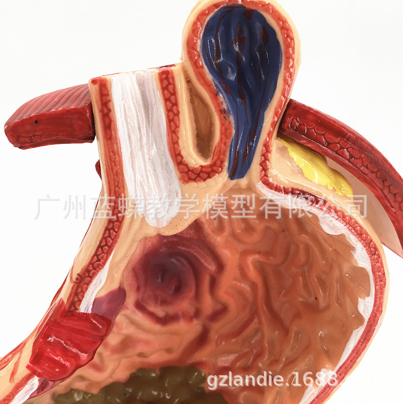 θ����ģ�� ����θģ�� θ��������ʾģ�� ����θģ�� ����θģ��