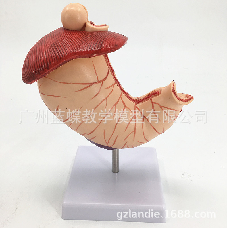 θ����ģ�� ����θģ�� θ��������ʾģ�� ����θģ�� ����θģ��