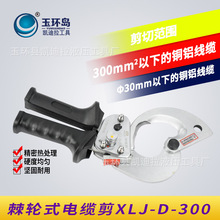 ҺѹXLJ-D-300ʽ¼µ߼ǯǯ