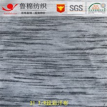 TR段染彩点汗布AB黑白竹节纱拉绒磨毛人棉弹力彩条循环粗针提花布