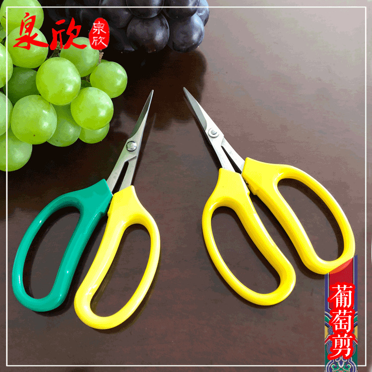 泉欣不锈钢剪刀QFL-19不锈钢剪刀园艺蔬果剪翘头葡萄剪刀 园艺剪