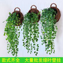 仿真植物假花藤条藤蔓绿植树叶吊兰室内绿叶装饰塑料绿萝吊蓝壁挂