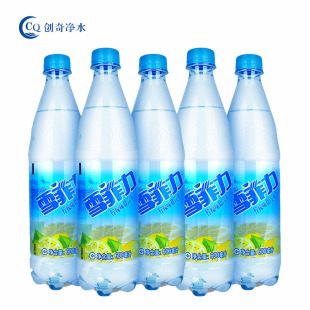 ���l��ُѩ�����}��ˮ600ml*24ƿ/���䙎�ʽ�����_��Ʊ���ձ�ˬ