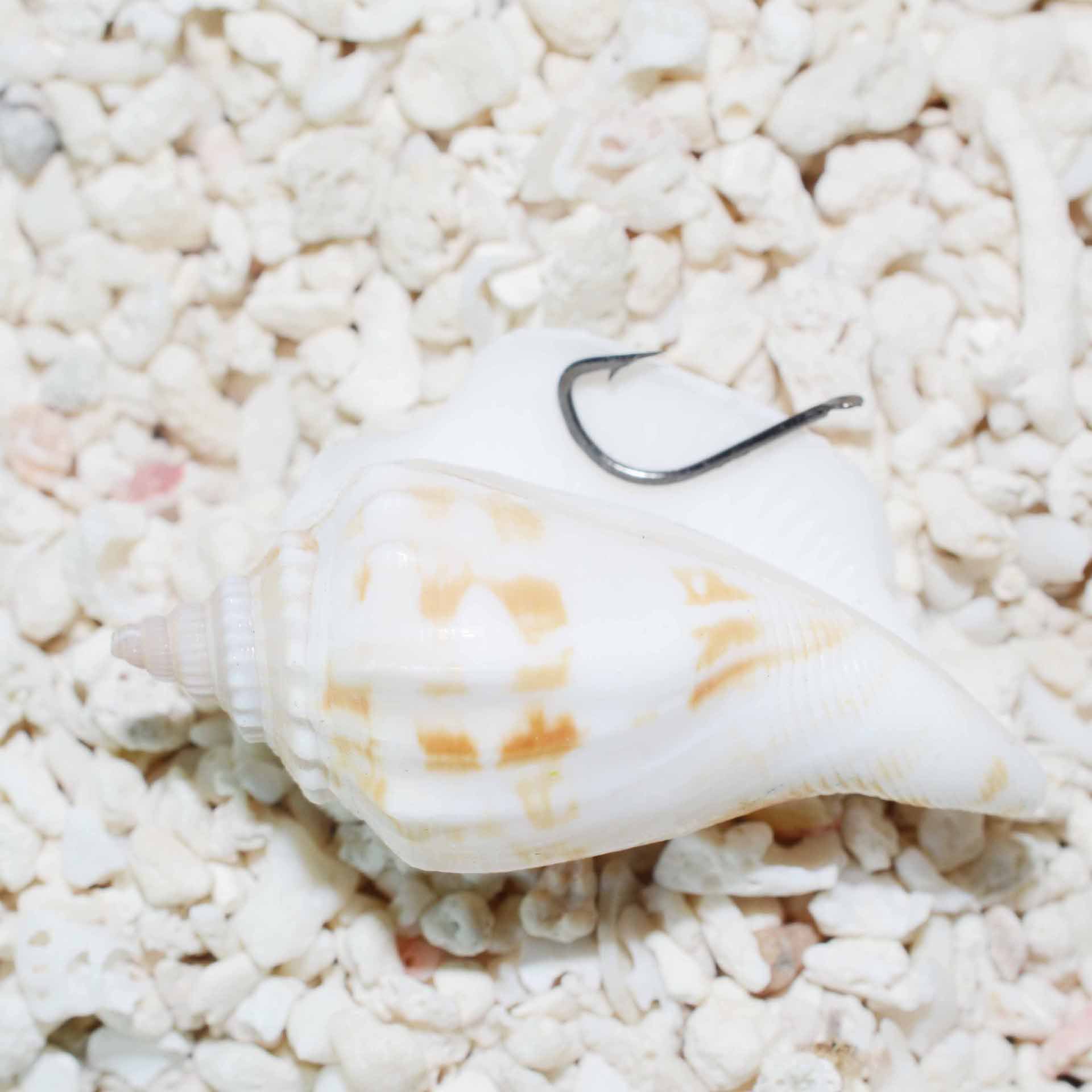 Boutique Yidou anzuelo de púas venta directa de fábrica al por mayor gran cantidad de acero de alto carbono Conghou crucian carpa hierba carpa lago