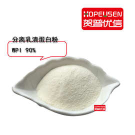 分离乳清蛋白 WPI90 乳清蛋白 乳清蛋白粉 速溶