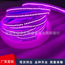 �����o��� 2835LED�� �׹ܷ�ˮ 240��12V���l1.0��2835��240��