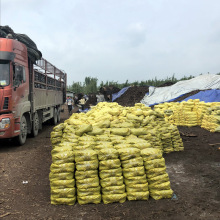 广州园林绿化种菜种花苗木过筛泥炭土通用型基质种植营养土泥炭