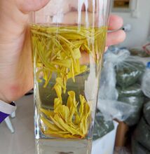 半斤装250克安吉黄金茶 批发安吉白茶黄金芽黄金叶茶 原产地直销