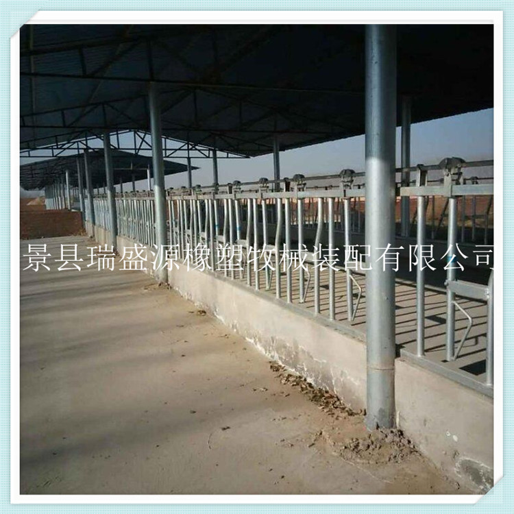 养殖设备 牛颈枷定位栏 热镀锌自锁牛颈枷 河北瑞盛源现货供应