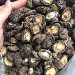 ���l С�㹽����Ģ�����|�����ɹ�ˮ������Ҝ�ʳ�Ļ��500g